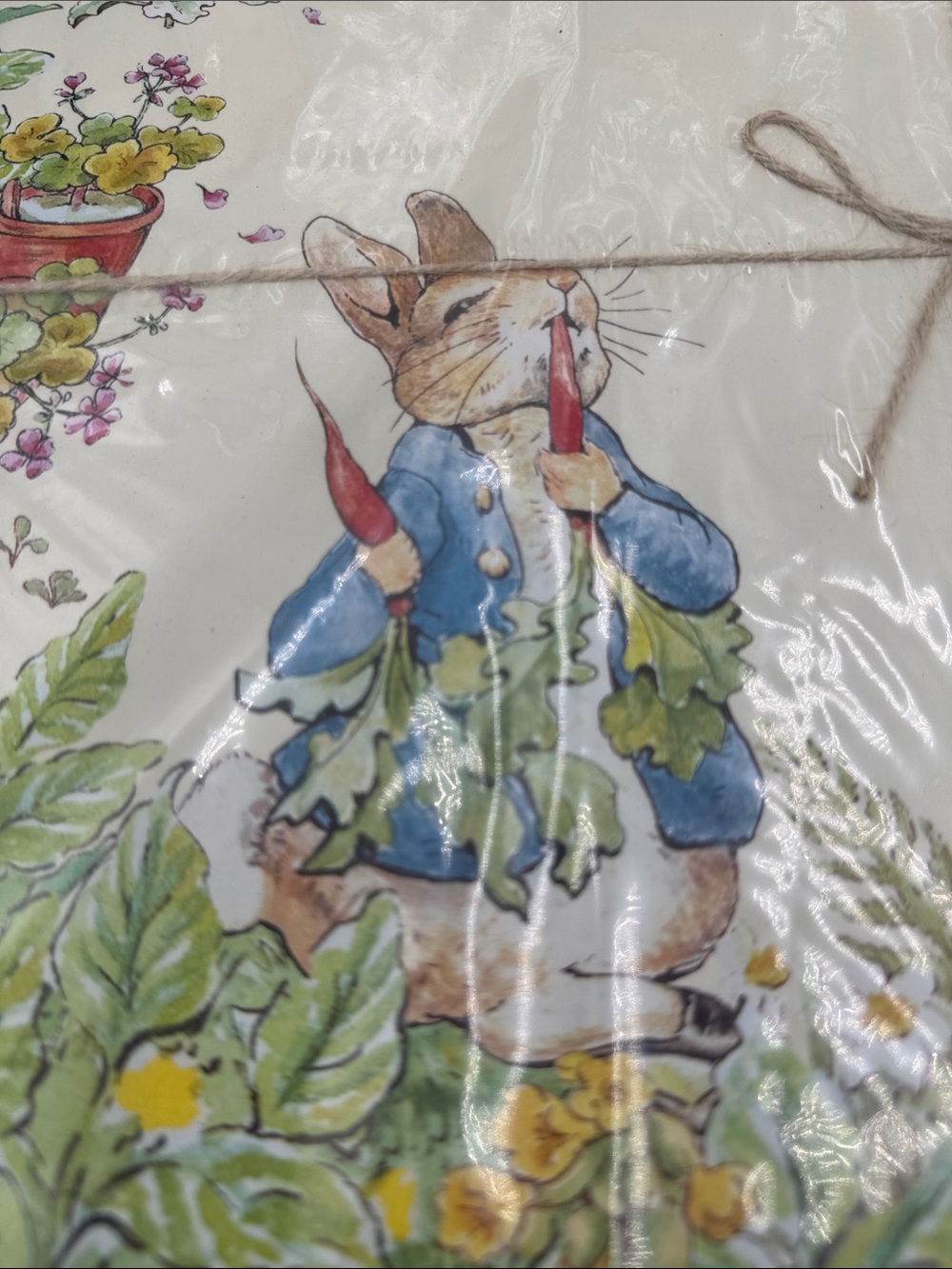 Pottery Barn Peter Rabbit Garden Cork Placemats Set of 8 Easter Discontinued NWT - Picture 4 of 9